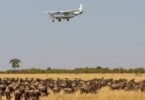 How Far is Masai Mara from Nairobi for Migration Viewing?