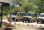 All-Inclusive Safari Under $1000 – Is It Possible in 2025 - 2026
