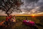 Ideal Duration for a Family Safari in Tanzania
