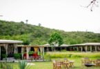 Best Eco-Friendly Lodges in Masai Mara for the Migration