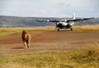 Are Flights Available from Nairobi to Masai Mara?