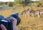 Are Professional Photography Safaris Available in Masai Mara?
