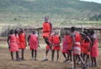 What is the Maasai People’s Perspective on the Wildebeest Migration?